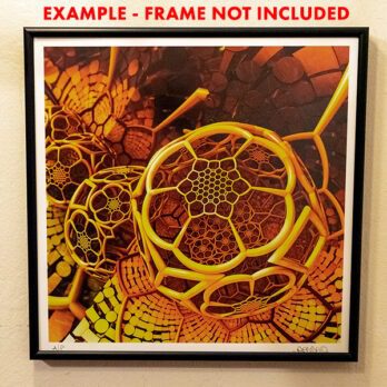 fractal art framed