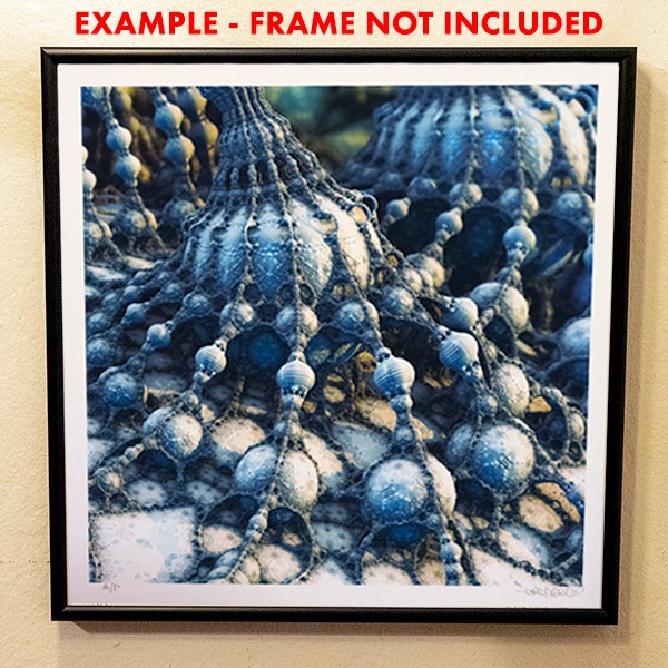 fractal art framed barnacle array