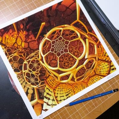 giclee prints bumblebee