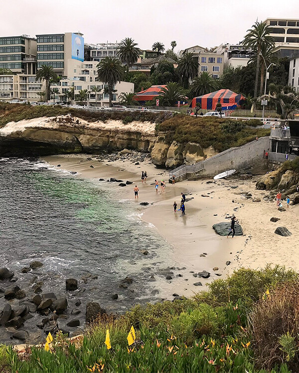 la jolla cove