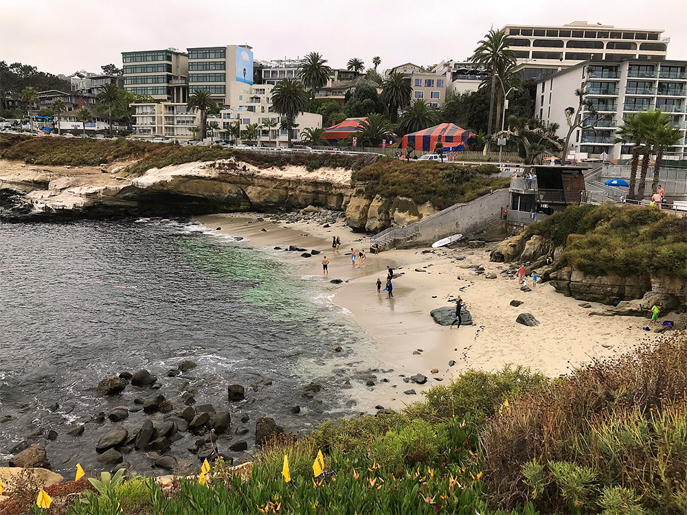 la jolla cove